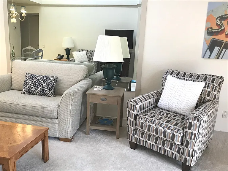 500 E Amado Rd #216 — Photo 5
