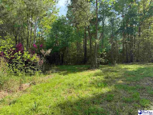 840 Lake City Hwy, Johnsonville, SC 29555