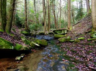 0 Braden Ln, Gruetli Laager, TN 37339