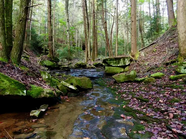 0 Braden Ln, Gruetli Laager, TN 37339