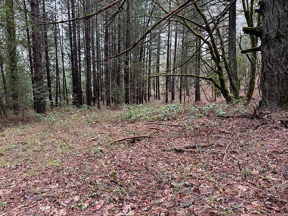 5th image of 907 Riverbanks Rd #907