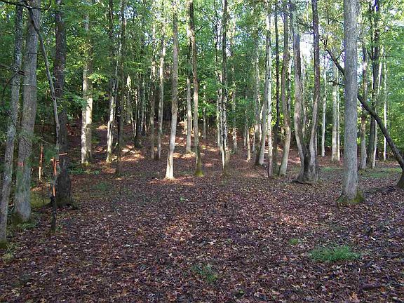 2nd image of 50 Shady Ln Lot 50
