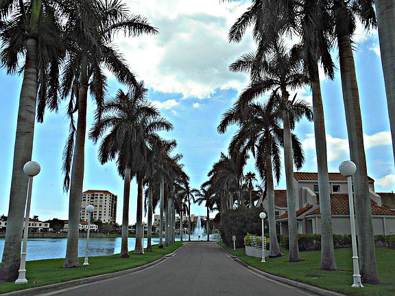 2nd image of 6001 Bahia Del Mar Cir APT 125