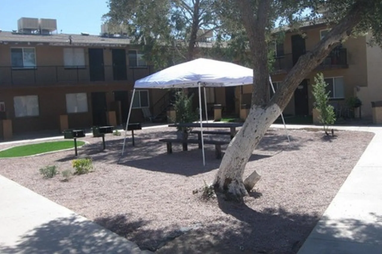 Park Vista Apartments — Photo 3