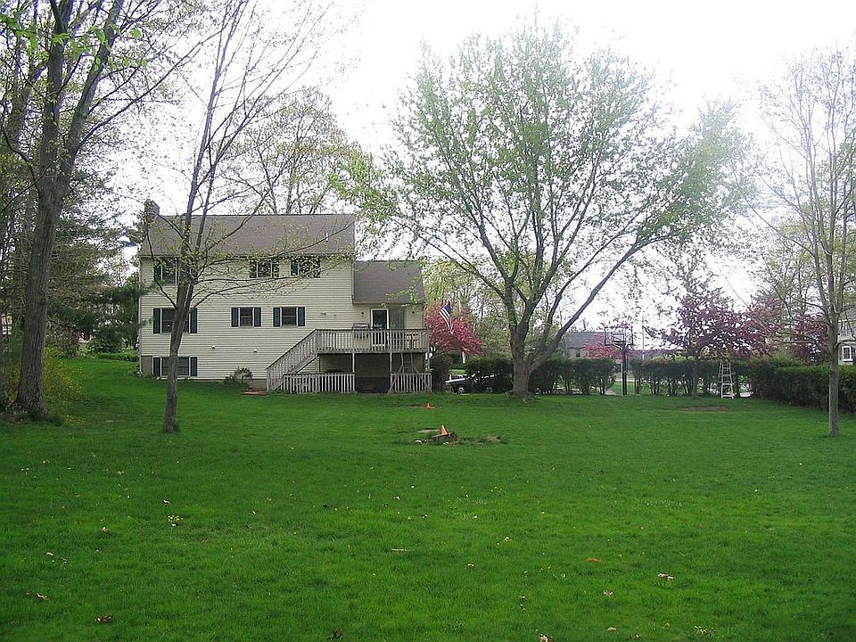 Back Yard View