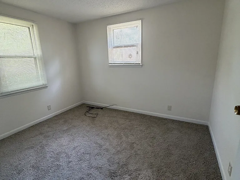 226 Branch Trl — Photo 6