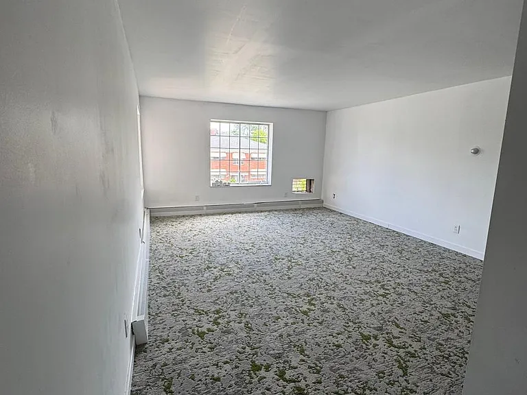 10101 Cadieux Rd #1 — Photo 24