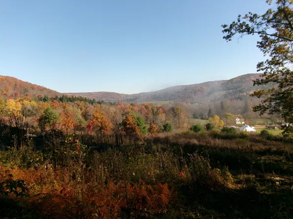 Wyncoop Creek Rd, Chemung, NY 14825
