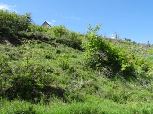 1775 S Beaver Bench Rd, Heber, UT 84032