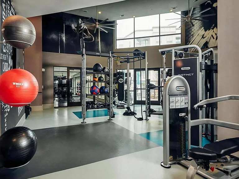 Gym Studio Featuring Adjustable Machines and Open-Use Workout Space