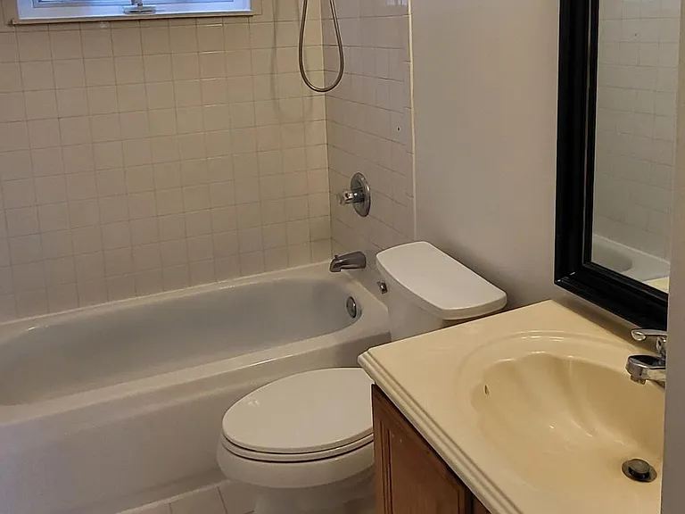 tub shower in guest bathroom