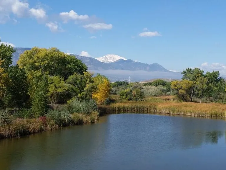 Mesa Vista — Photo 19