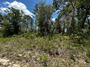 2060 W Wilmington Loop, Citrus Springs, FL 34434