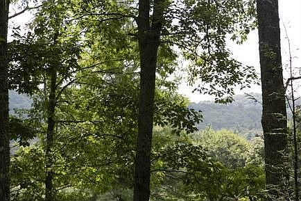 Mountain View off Front Porch