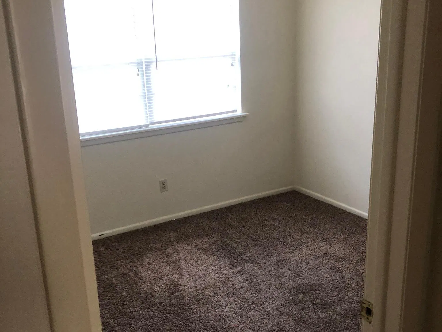 3 bed, 950 sqft, $1,000 — Photo 4