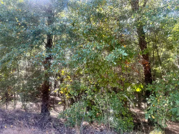 PARCEL Warbonnet Rd #A, Springfield, SC 29146