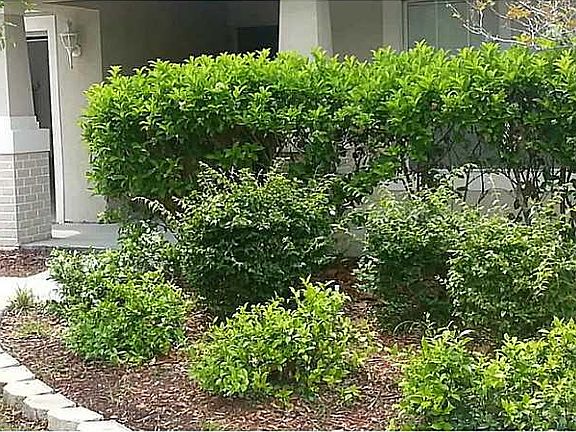 3rd image of 6827 Runner Oak Dr