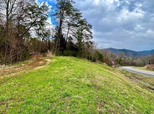TRACT 7 Bluff Rd, Newport, TN 37821