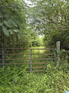 001 & 002 County Road 256 #1, Clanton, AL, 35046