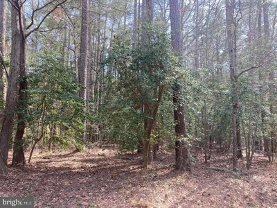313 Pilot Way, Lusby, MD, 20657