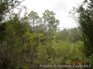 18235 Parrot Rd, Weeki Wachee, FL 34614