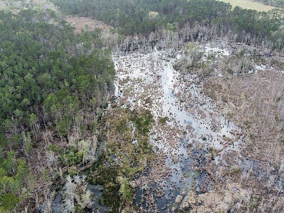 2nd image of 237 Nursery Rd