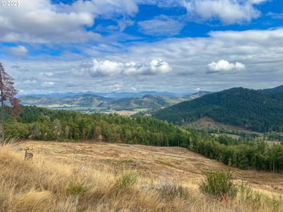 584 Buzz Mountain Ln, Roseburg, OR, 97471