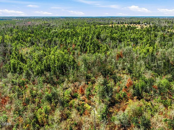 5th image of 0 Blue Springs Rd