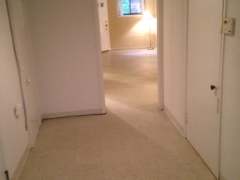 back hall looking to living room; 2 large closets in this space.