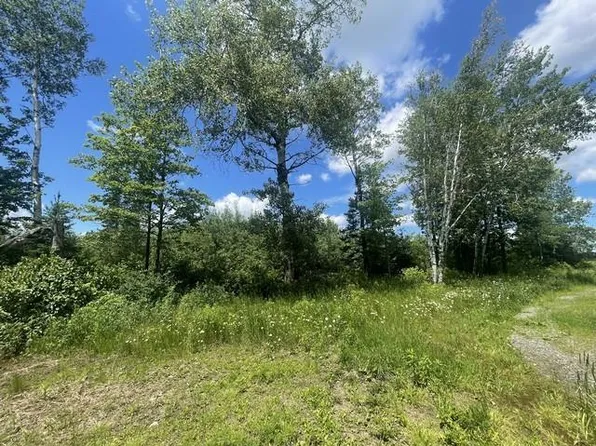 87.28 Acres COUNTY LINE ROAD, Wausau, WI 54403