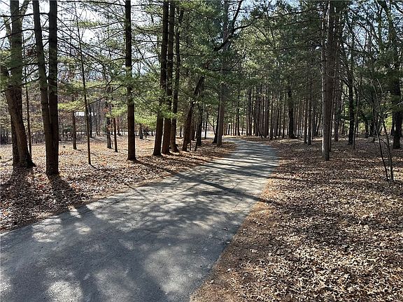 5th image of 1803 Murphy Lane