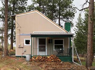 117 S Pine Dr, Bailey, CO 80421