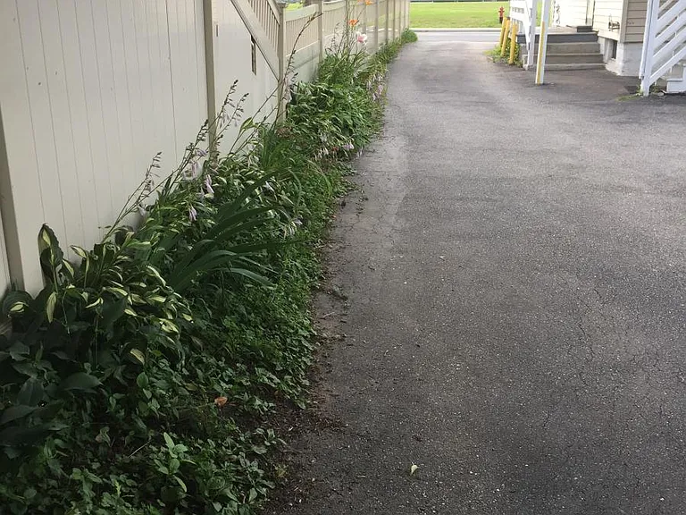 Attractive landscaping