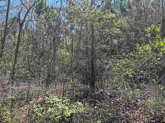 2nd image of 0 Everitt Rd