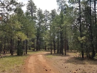 1V Leonard Cyn, Happy Jack, AZ, 86024