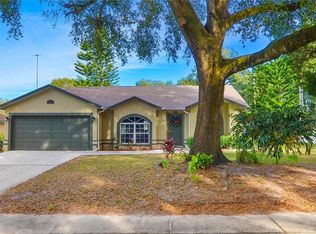 425 Carriage Crossing Cir, Brandon, FL 33510