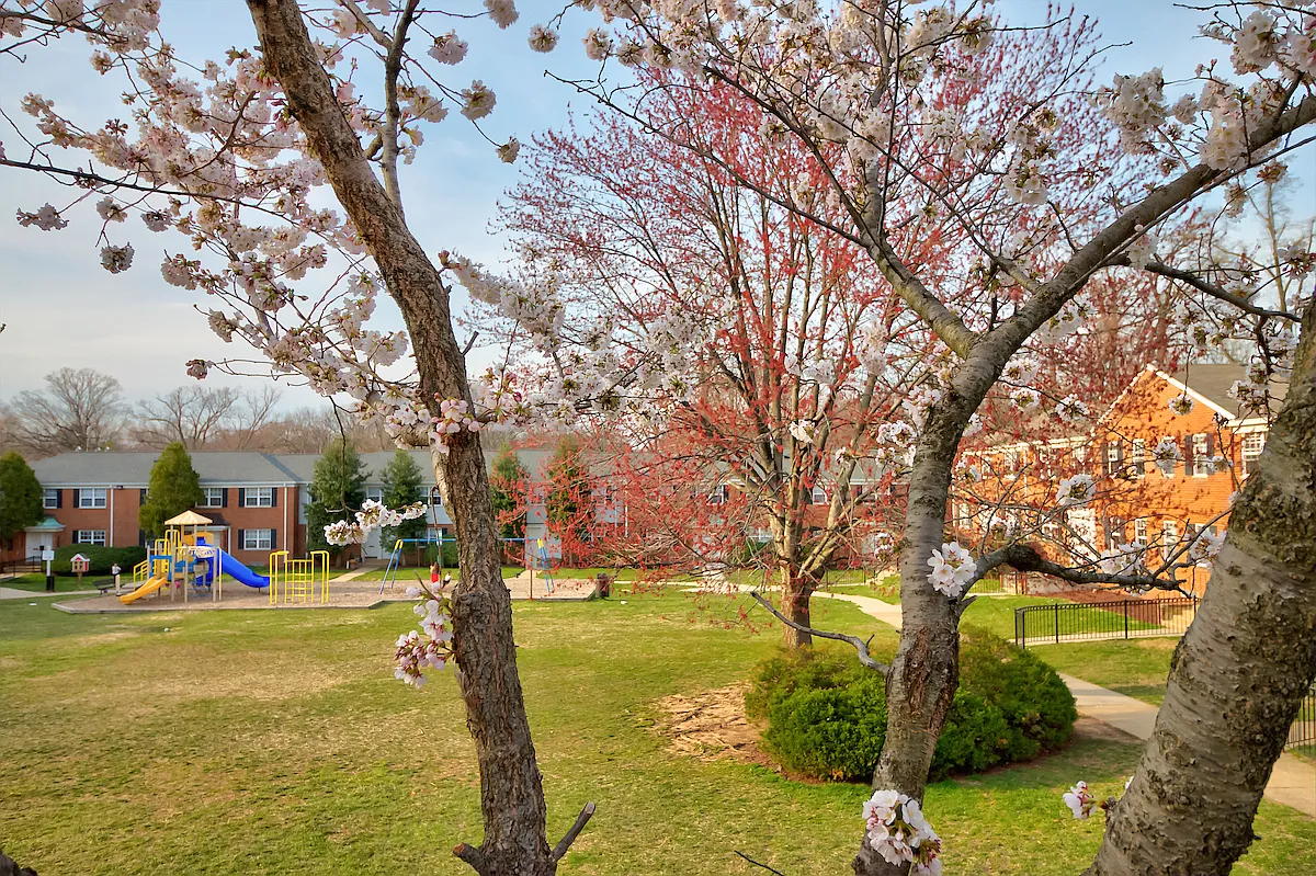 Kingsley Commons Townhouses — Photo 4