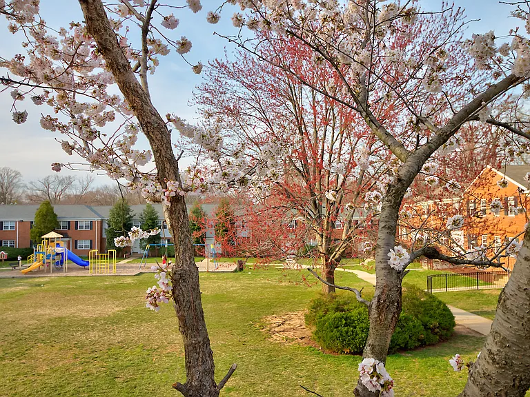 Kingsley Commons Townhouses Vista
