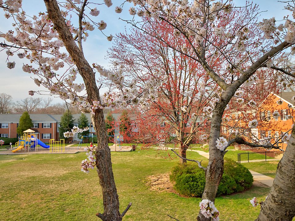 Kingsley Commons Townhouses Vista