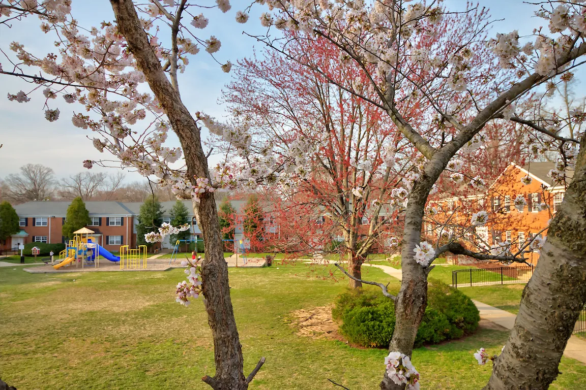 Kingsley Commons Townhouses Vista