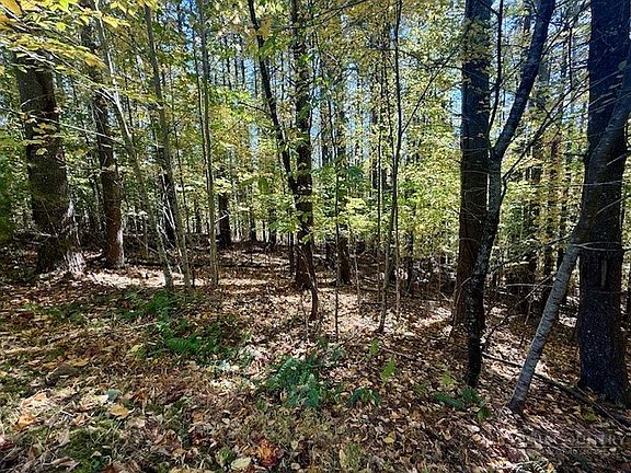 3rd image of Lot 33 Woodland Valley Road