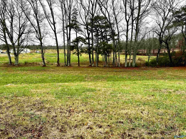 1 Old Union Rd, Grant, AL 35747