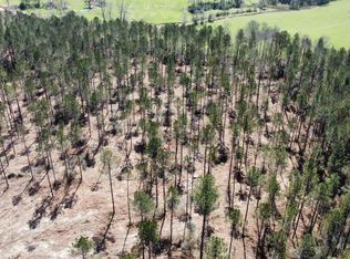 1 Highway 478, Newhebron, MS 39140