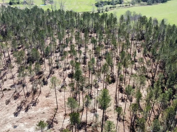 1 Highway 478, Newhebron, MS 39140