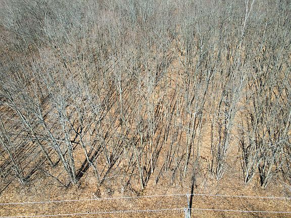 2nd image of LOT 33 Macavalley Rd