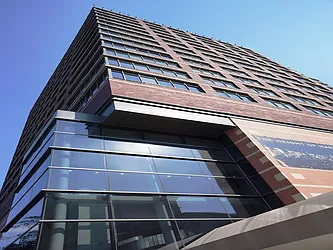 Rented by Stephen P. Wald