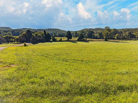 5th image of 175 Spring Cove Ln Lot 35