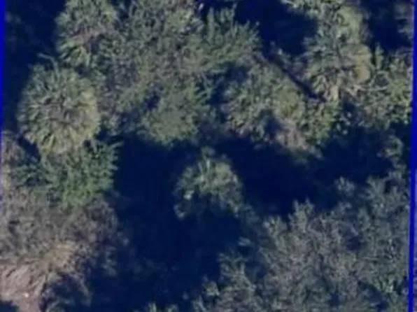 511 Hansare St SW, Palm Bay, FL 32908