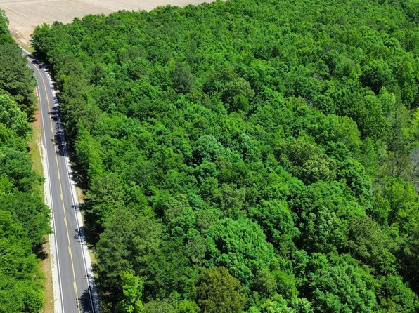 0 Alfordsville Rd Tract 2, Rowland, NC 28383