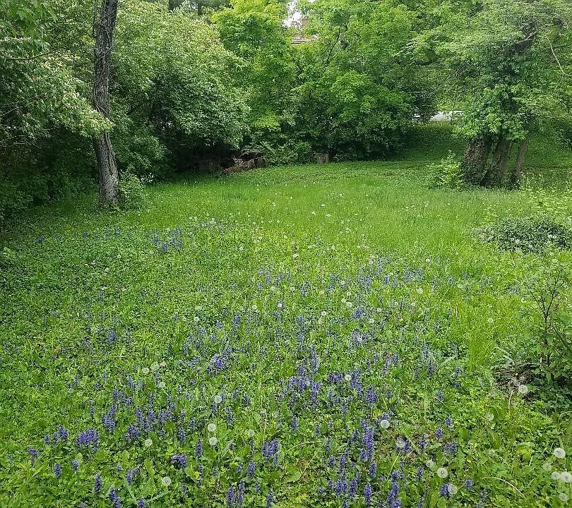2nd image of 7747 Kugler Mill Rd